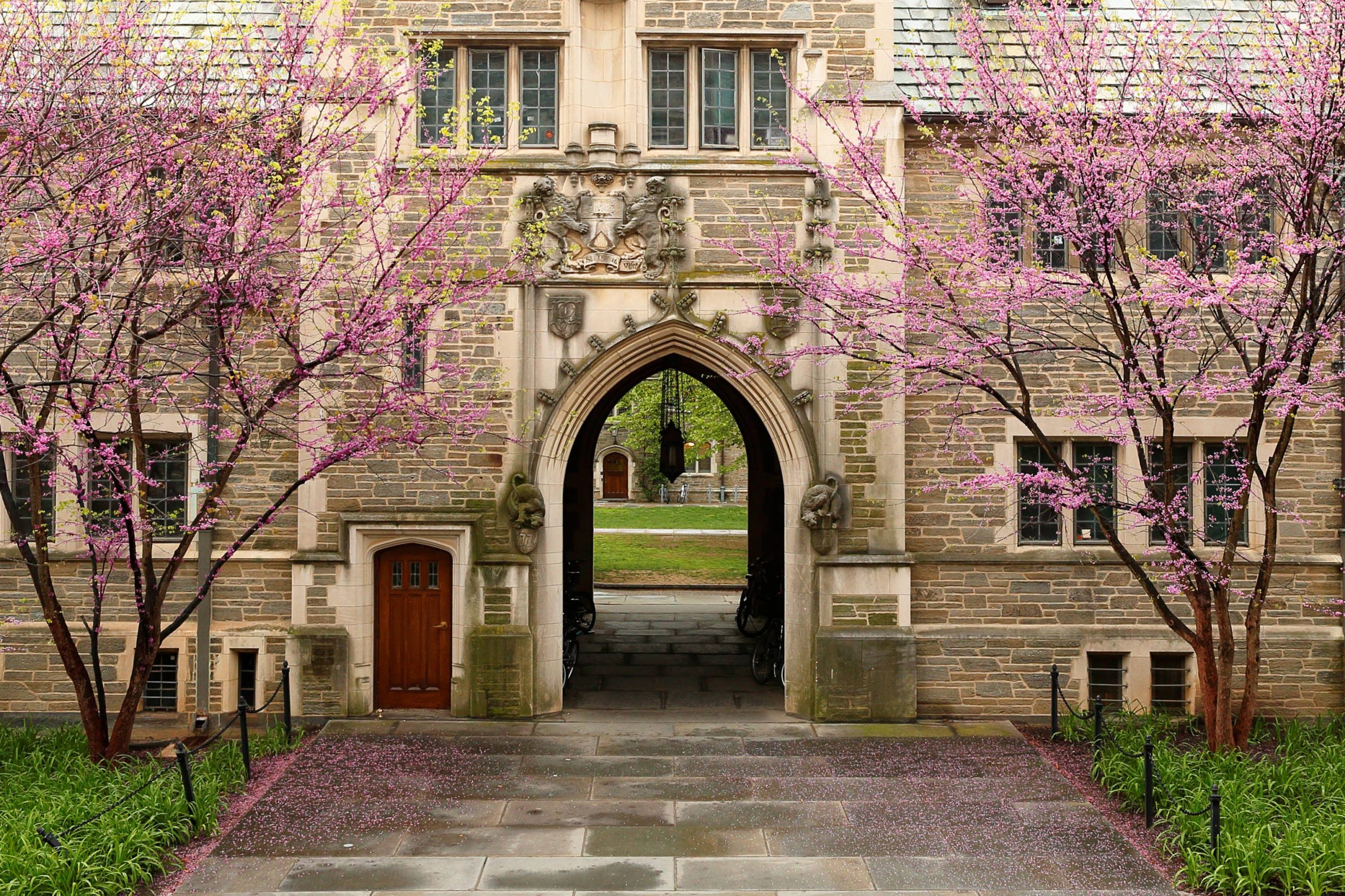 Princeton University is a Private Ivy League University in New Jersey, USA.