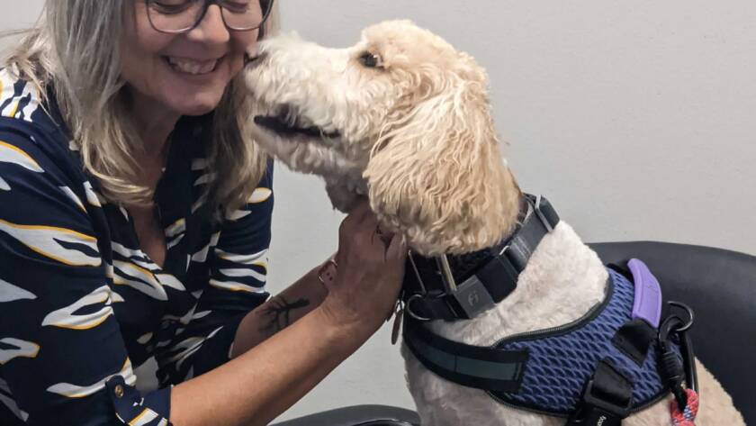 woman recieving kisses from a dog